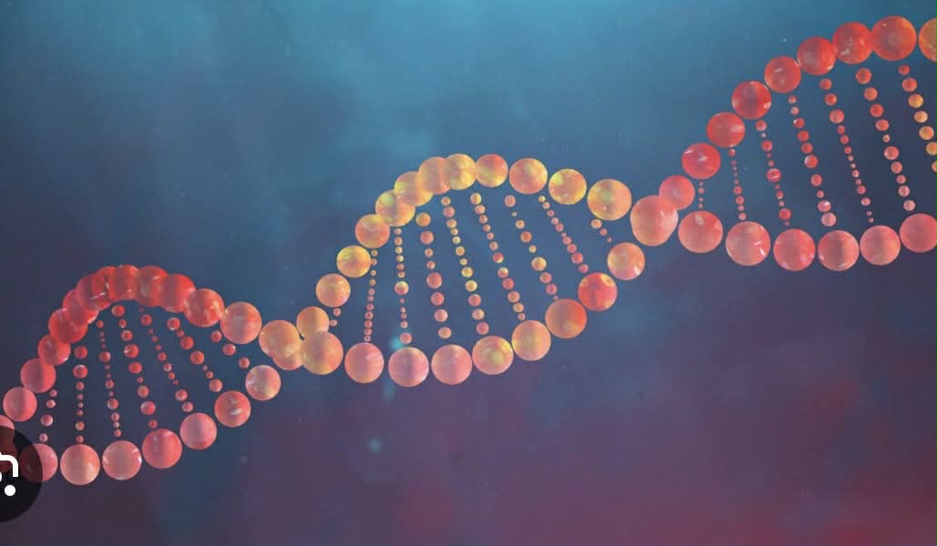 Legal DNA Test